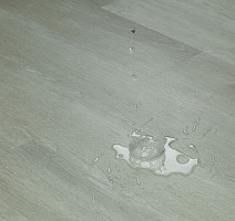 Tarkett Funky House CRUZE фото 9 | FLOORDEALER